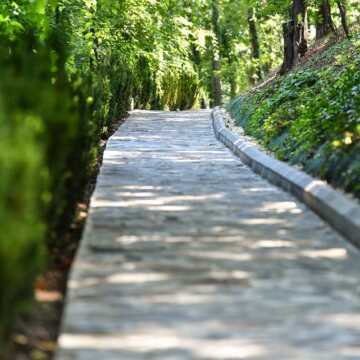 Patriarhul Daniel si ierarhii Bisericii Ortodoxe Romane in parcul Resedintei Patriarhale