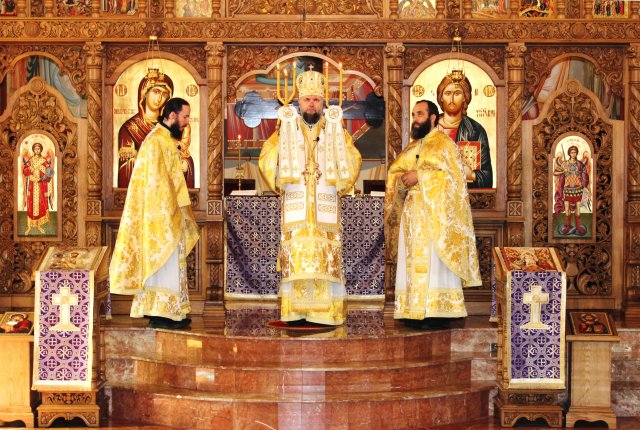 Centenarul Marii Uniri Chicago (2)